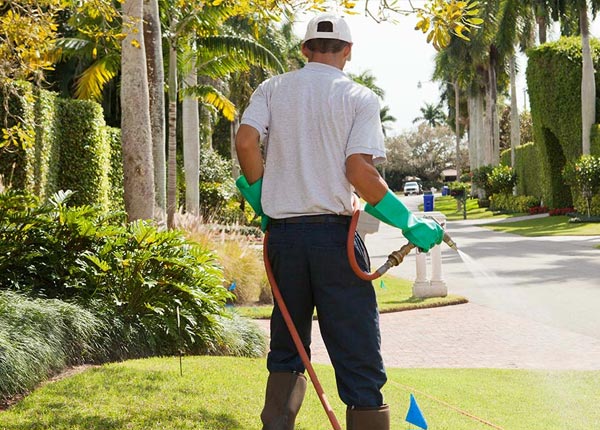 About Leonardville KS Pest Control